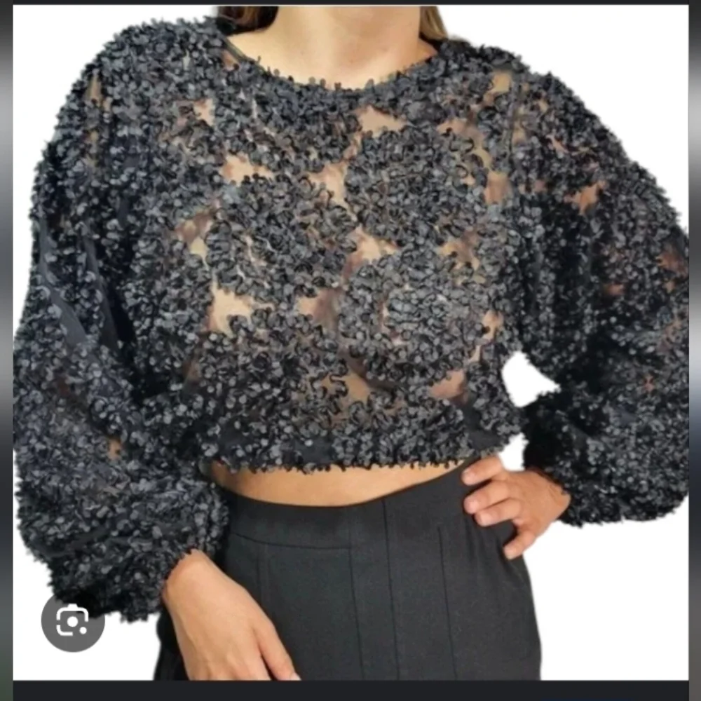 Zara Sheer Black Mesh With 3D Applique Petals Boho Casual Crop Long Sleeve Top